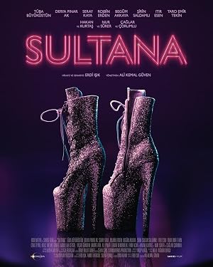 Sultana (2026) Hindi Dual Audio BluRay 480p | 720p | 1080p